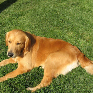 Meet your Posher, Paul